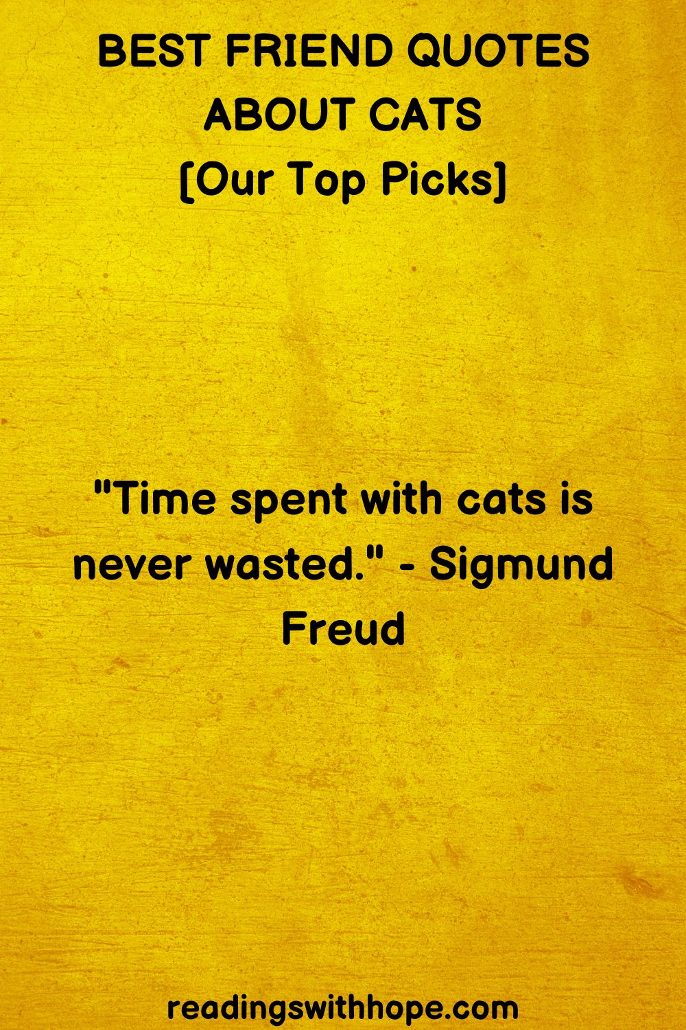 best friend quotes about cats