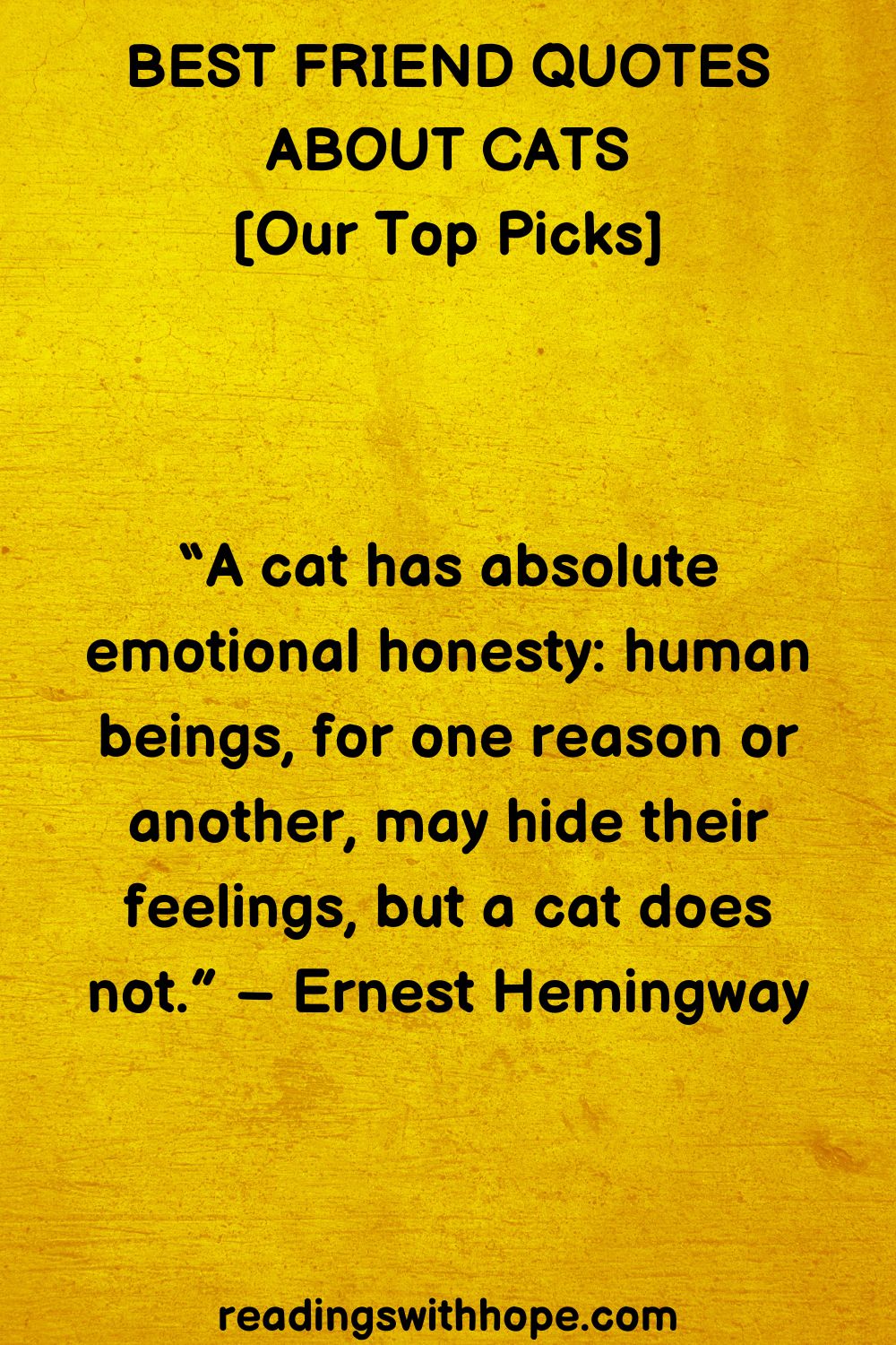 best friend quotes about cats