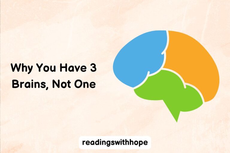 Why You Have 3 Brains, Not One